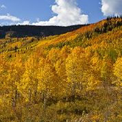 Capturing the Fall Colors of Colorado: Part 2