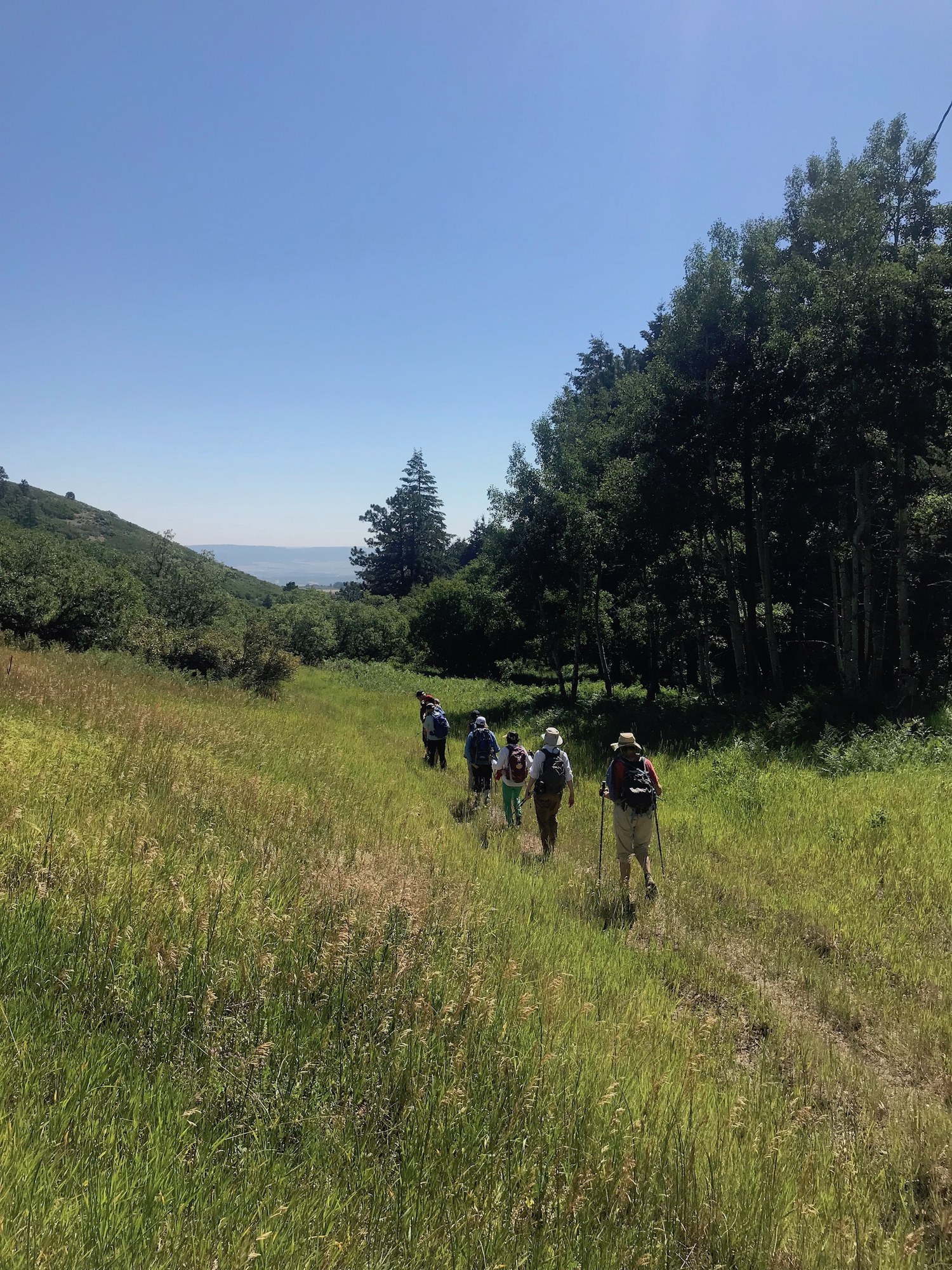 Participants trek through Elk Valley