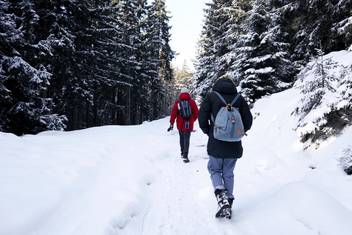 Fall and Winter Hiking Safety